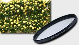 Фотография Светофильтр 55мм Marumi DHG Lens Protect 55mm Фото Светофильтр 55мм Marumi DHG Lens Protect 55mm
