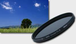 Фотография Светофильтр 55мм Marumi DHG Circular-PLD 55mm Фото Светофильтр 55мм Marumi DHG Circular-PLD 55mm