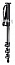  ,  Manfrotto 694 CX
