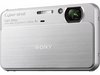 ���� Sony DSC-T99/S