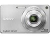  Sony DSC-W350