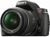 ���� Sony DSLR-A390L
