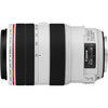 Canon EF 70-300 f/4-5.6 L IS USM