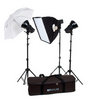 Фотография Raylab AXIO RX-100-3 SU KIT Комплект студийного оборудования Фото Raylab AXIO RX-100-3 SU KIT Комплект студийного оборудования