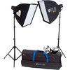 Фотография Raylab AXIO RX-200-L SS KIT Комплект светового оборудования Фото Raylab AXIO RX-200-L SS KIT Комплект светового оборудования
