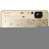 Фотография Sony Cyber-Shot DSC-T99 золотистый Фото Sony Cyber-Shot DSC-T99 золотистый