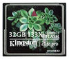  Kingston CF/32GB-S2