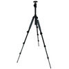 Фотография Continent HT-3 Profi Фото Continent HT-3 Profi