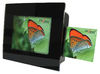 Фотография Цифровая фоторамка Diframe Twin PF-1X Фото Цифровая фоторамка Diframe Twin PF-1X