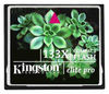    Kingston CF/4GB-S2