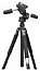   Giottos MTL9251B