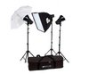 Фотография Raylab AXIO RX-100-3 SU ADVANCE KIT Комплект импульсного света Фото Raylab AXIO RX-100-3 SU ADVANCE KIT Комплект импульсного света