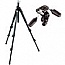 Фотография Manfrotto 190XPROB Штатив с головой 804RC2