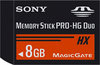  Sony Sony MS-HX8G
