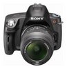 Фотография Sony Alpha DSLR-A290L Фото Sony Alpha DSLR-A290L